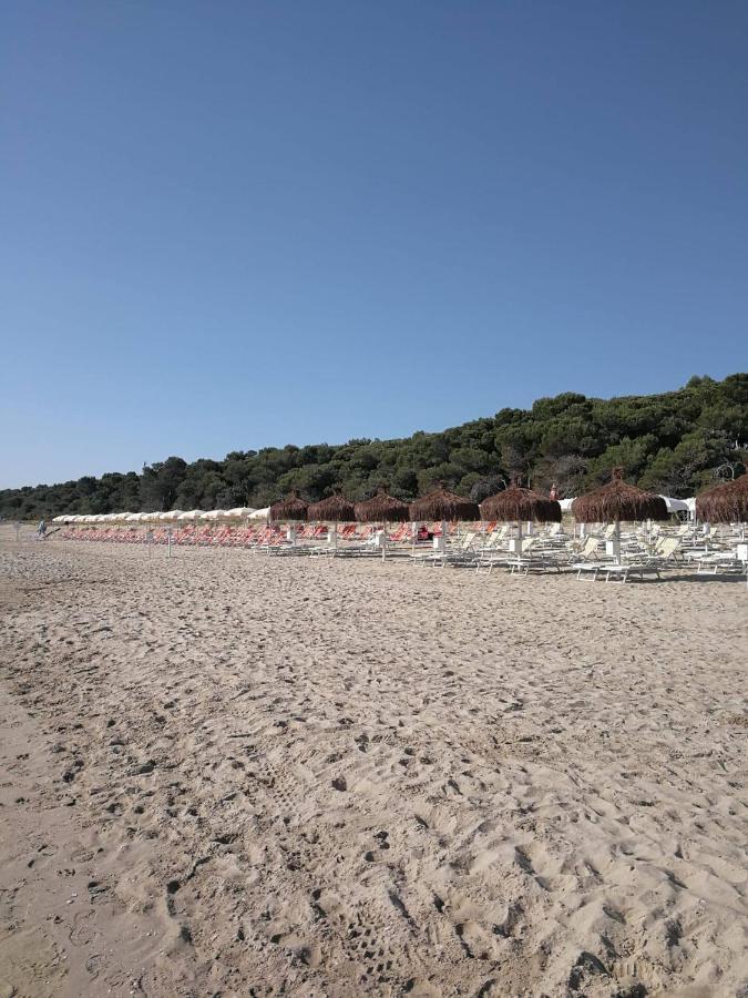 Alloggio Vista Mare - Parcheggio Gratis Pineto Exterior foto