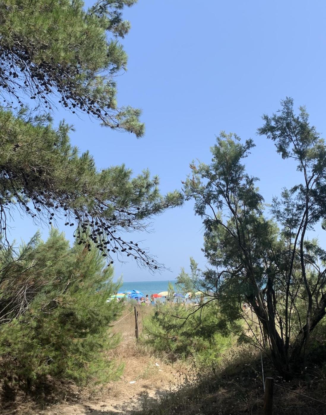 Alloggio Vista Mare - Parcheggio Gratis Pineto Exterior foto
